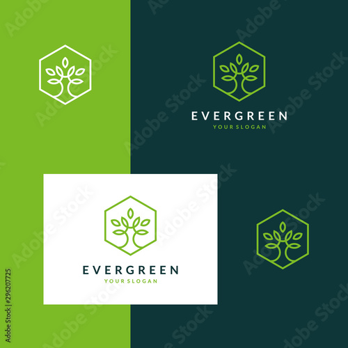 Inspiring logo designs trees, leaves, nature, with a line design style