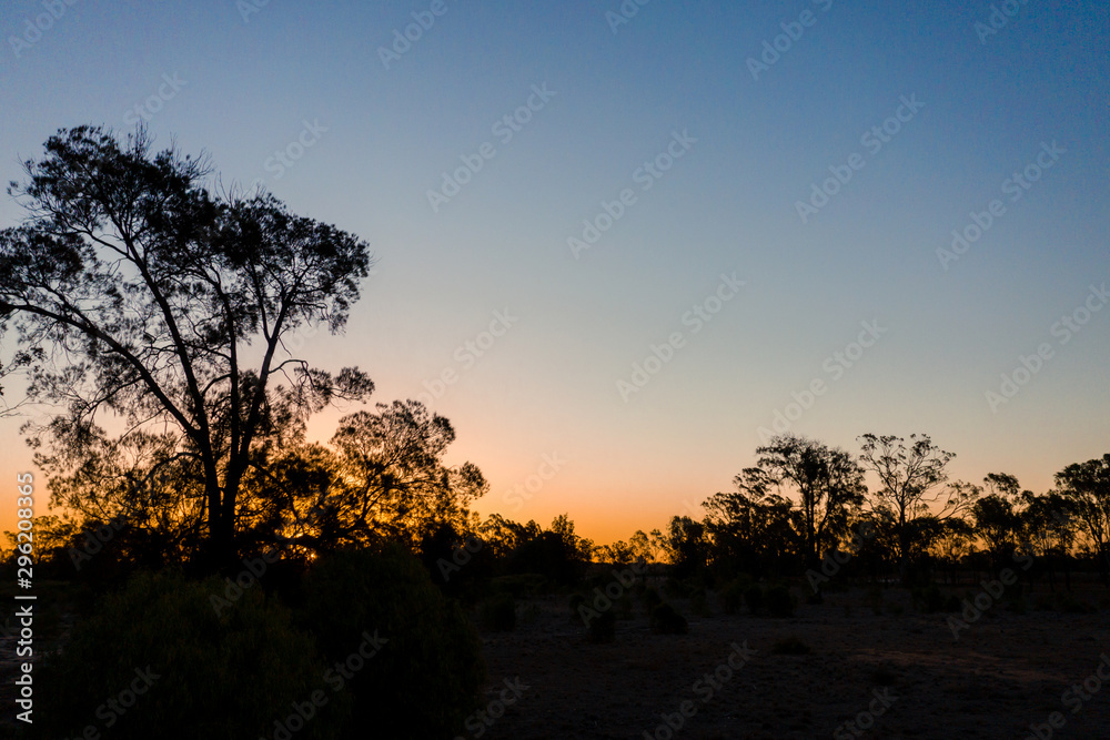 Fototapeta premium sunset in the outback