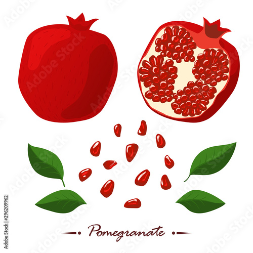 Red pomegranates and seeds. Isolated white background. Cutting pomegranate. Fresh pomegranate