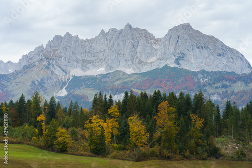 Mountains and Autumn Forest in Austria (Kaisergebirge)