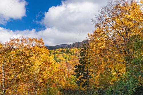 Towada Hachimantai National Park in early autumn