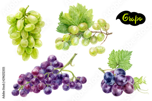 Принти на полотні Grape set composition watercolor isolated on white background