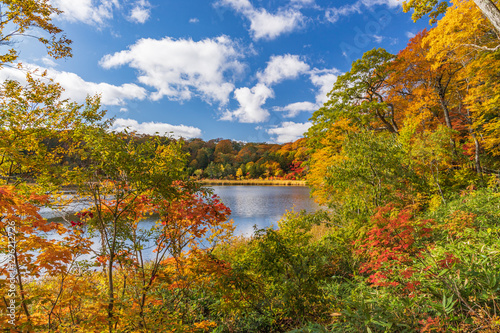 Towada Hachimantai National Park in early autumn