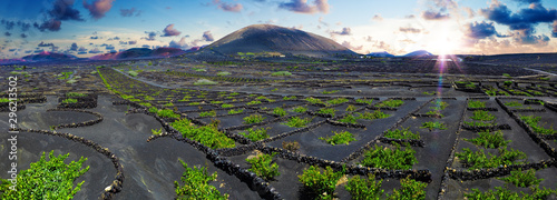 La Geria vineyard on black volcanic soil.Scenic landscape with volcanic vineyards. Lanzarote. Canary Islands. Spain