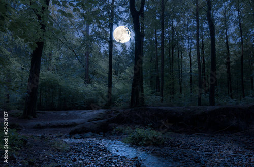 In a romantic forest in the middle of Germany, the full moon shines through the trees at night on a babbling brook.