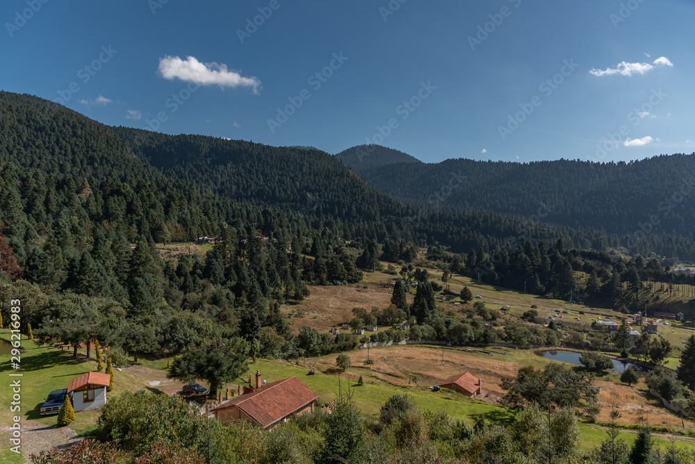 Fototapeta premium Parque nacional La marquesa, EDOMEX 05