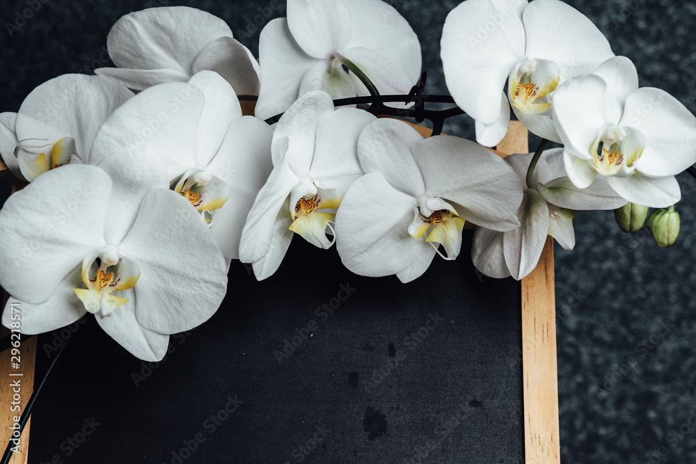 Fototapeta premium White orchids on the background of the school board