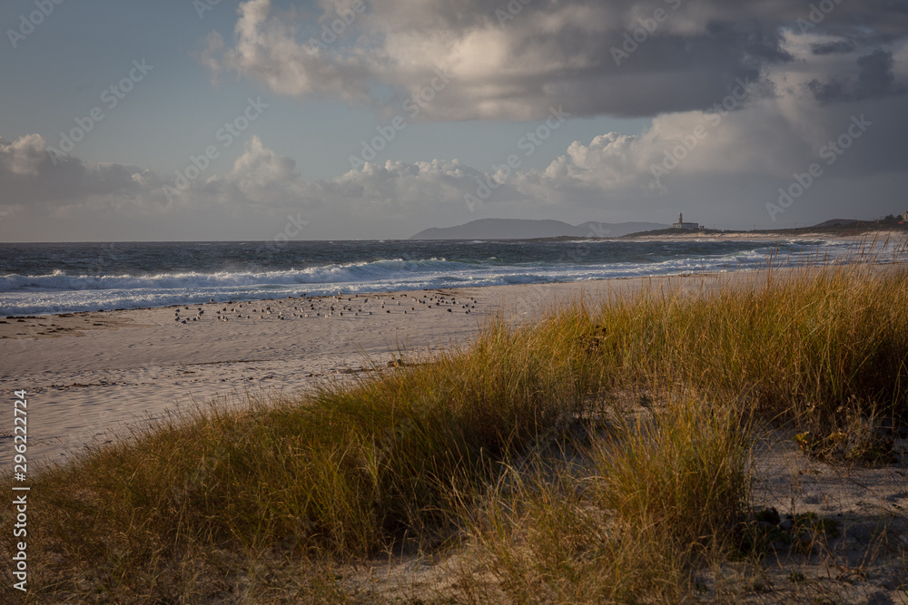 Lariño beach, Galicia.