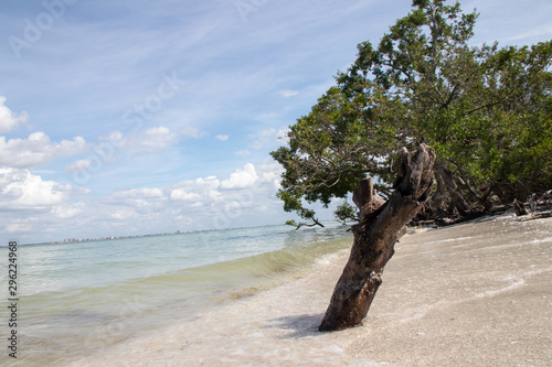 Florida's Sanibel Island