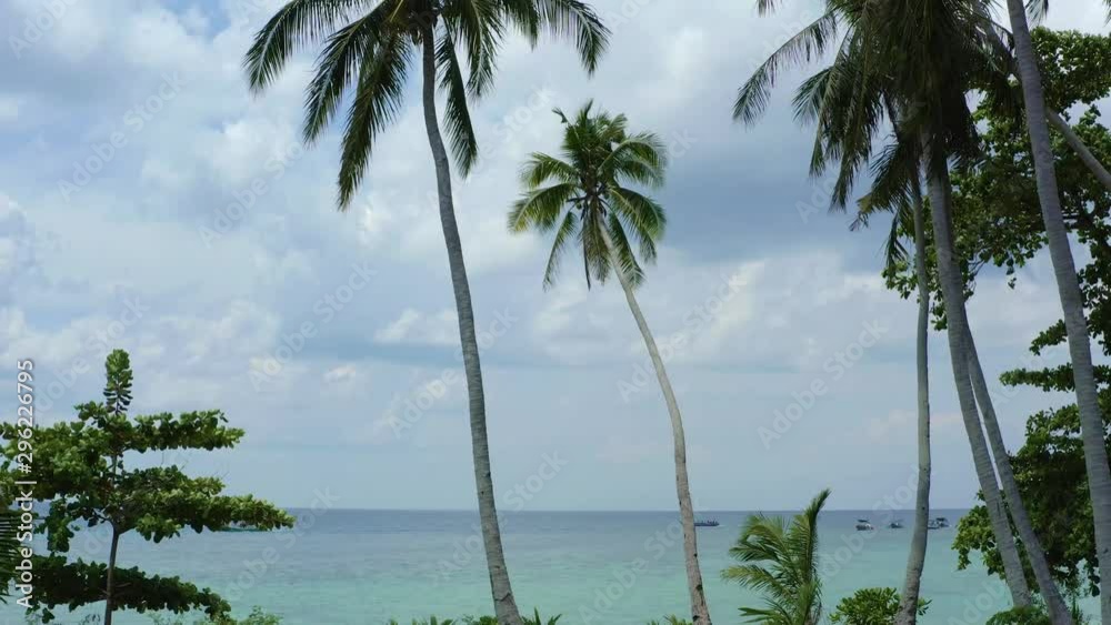 Tilt up view coconut tree and leaves in tropical island of lengkuas in belitung Indonesia. Beautiful beach and clouds Tilt up view coconut tree and leaves in tropical island of lengkuas in belitung Indonesia. Beautiful beach and clouds