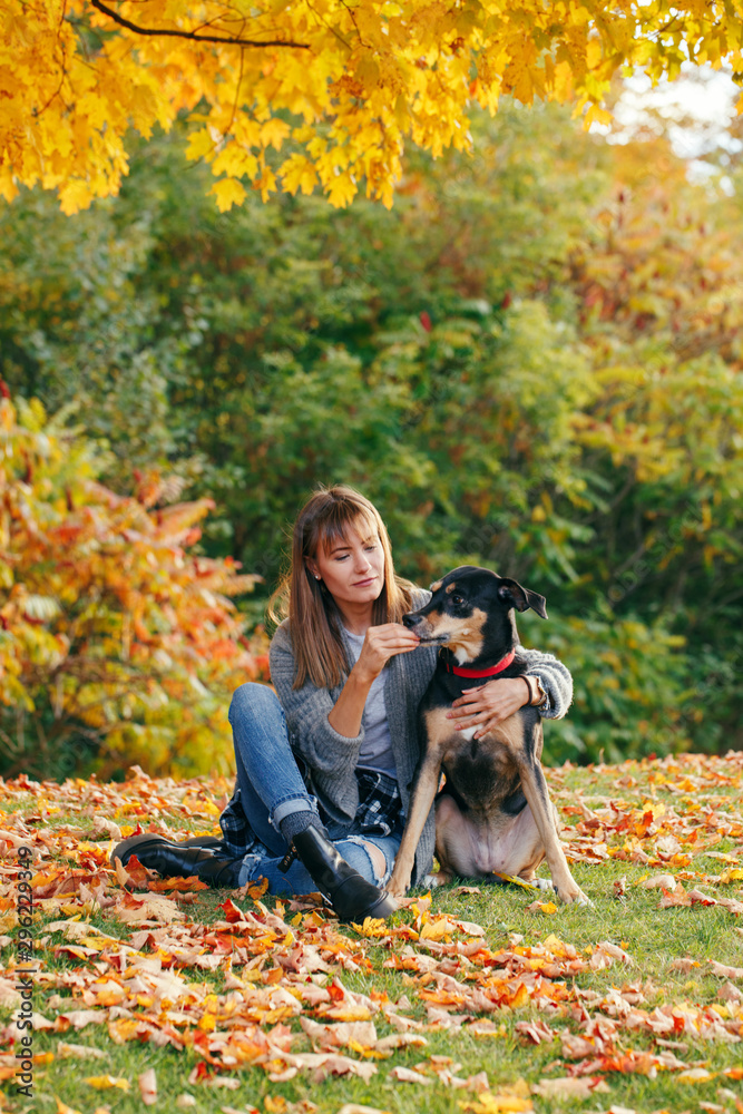 Portrait of beautiful happy young Caucasian woman sitting on ground among autumn fall yellow leaves and hugging her pet dog. Best friends having fun outdoor. Friendship with domestic animals. Portrait of beautiful happy young Caucasian woman sitting on ground among autumn fall yellow leaves and hugging her pet dog. Best friends having fun outdoor. Friendship with domestic animals.