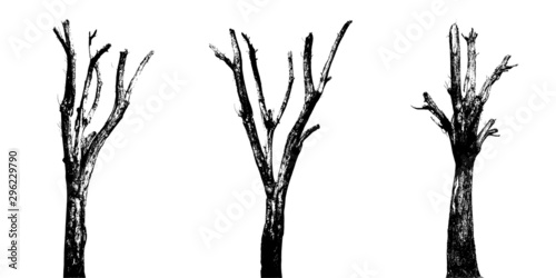Trunk of trees in silhouette. The high contrast style on white background, vector file