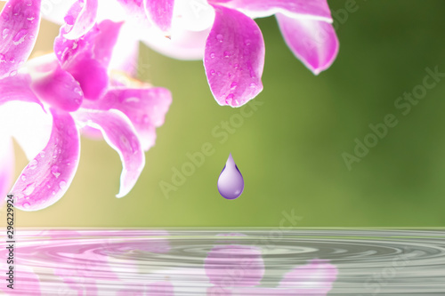 Obraz na plátně Drop of water