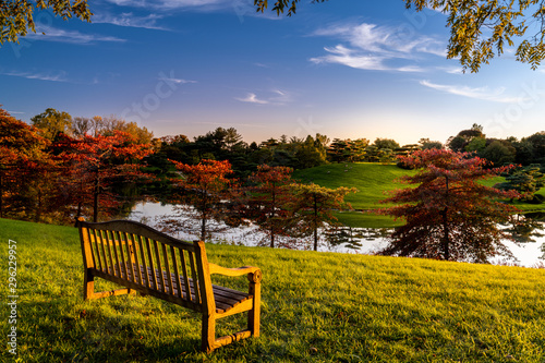 Fototapeta Naklejka Na Ścianę i Meble -  Sunset reflection at the park in autumn