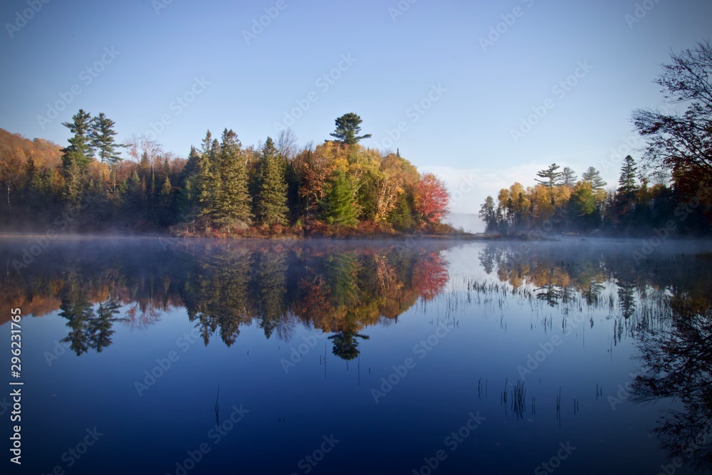 Dramatic tree reflections on a foggy lake at sunrise Dramatic tree reflections on a foggy lake at sunrise