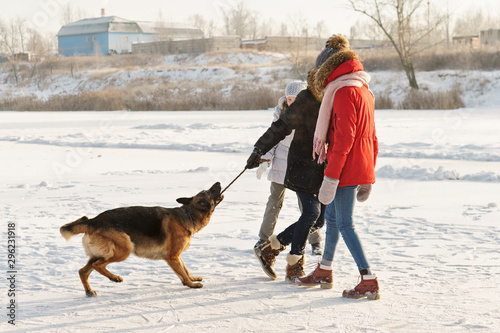 Joyful teens spend time together with lovely pet German Shepherd Dog on a walk in the winter park on a sunny day. Having fun playing in snow outdoors. Time for cheery. Happy family. Playful mood
