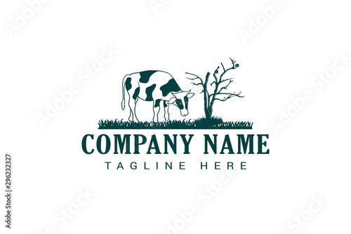 cow illustration for dairy farm logo or label