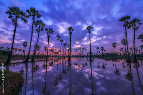 Sunrise at Dongtan Samkok Pathumthani, Nice Refraction view in Pathumthani, Thailand, October 13 2019