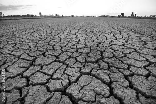 The land that is dry and cracked in summer