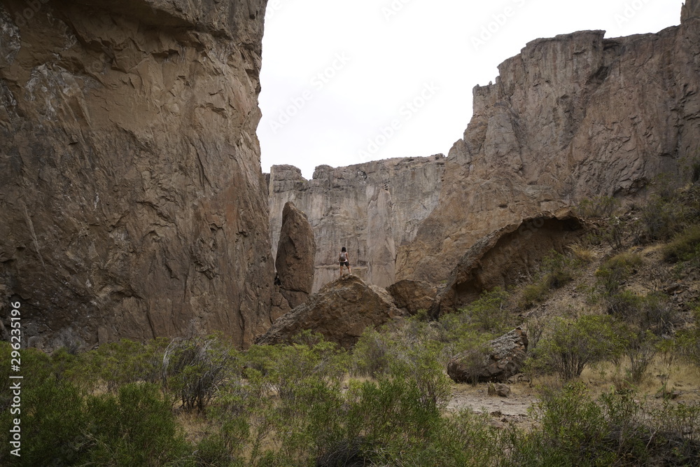 mujer joven parada de espaldas sobre una roca observa un paisaje rocoso de grandes paredones