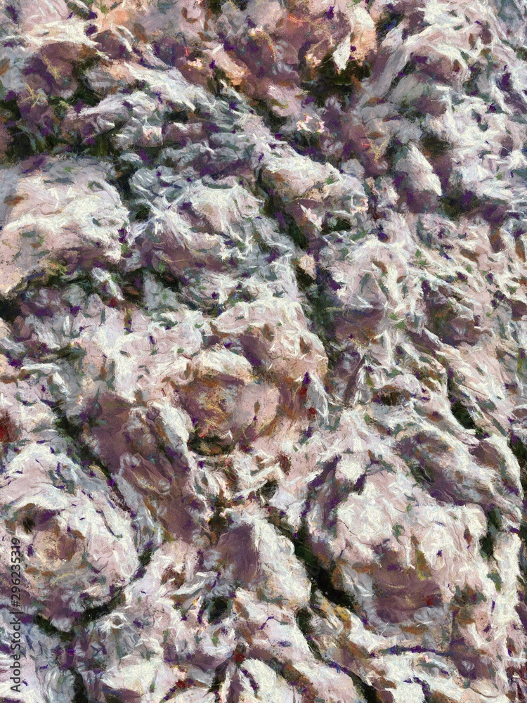 The bark of the tree is rough. Illustrations creates an impressionist style of painting. The bark of the tree is rough. Illustrations creates an impressionist style of painting.