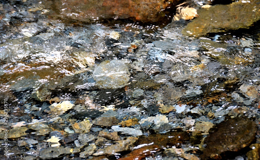 Fototapeta premium clear river water