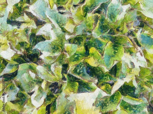 Green bush Illustrations creates an impressionist style of painting.