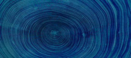 Old wooden oak tree cut surface. Detailed indigo denim blue tones of a felled tree trunk or stump. Rough organic texture of tree rings with close up of end grain.