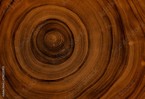 Old wooden oak tree cut surface. Detailed warm dark brown and orange tones of a felled tree trunk or stump. Rough organic texture of tree rings with close up of end grain.