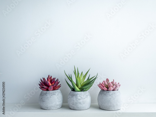 Concrete pot. Modern geometric concrete planter.