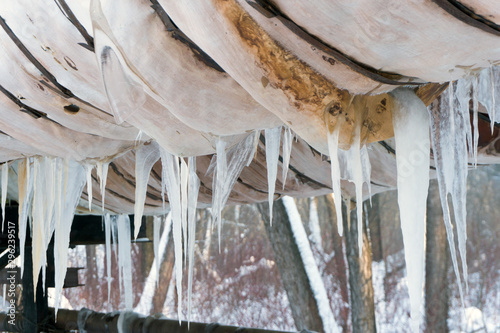Icicles on a pipe pipeline.