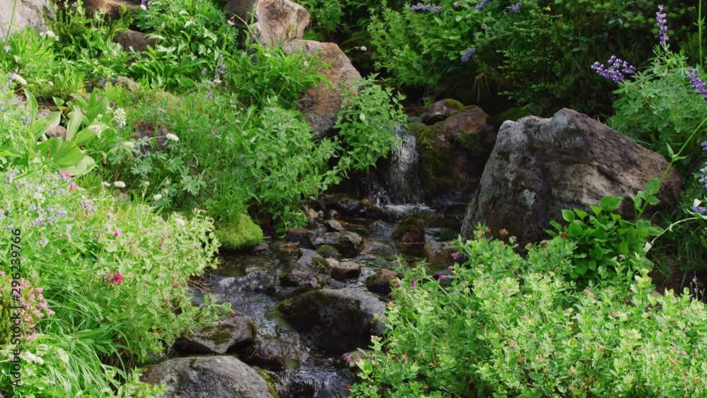 Small creek waterfall with Lupine and clover wildflowers in the foreground Small creek waterfall with Lupine and clover wildflowers in the foreground
