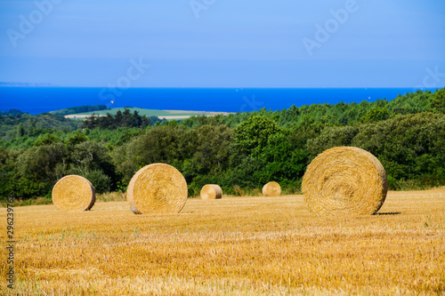 Fototapeta Landscape with twisted haystack . Brittany. France