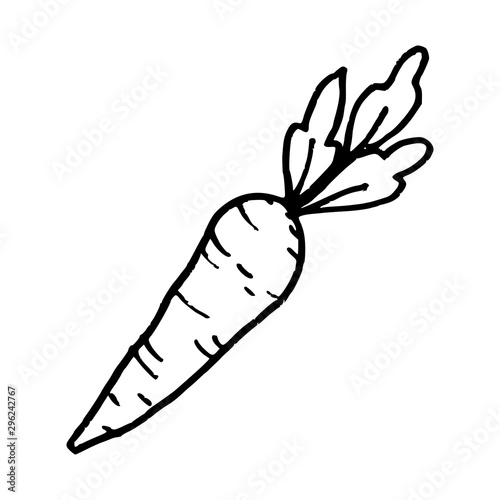 carrot cartoon doodle icon isolated on white background