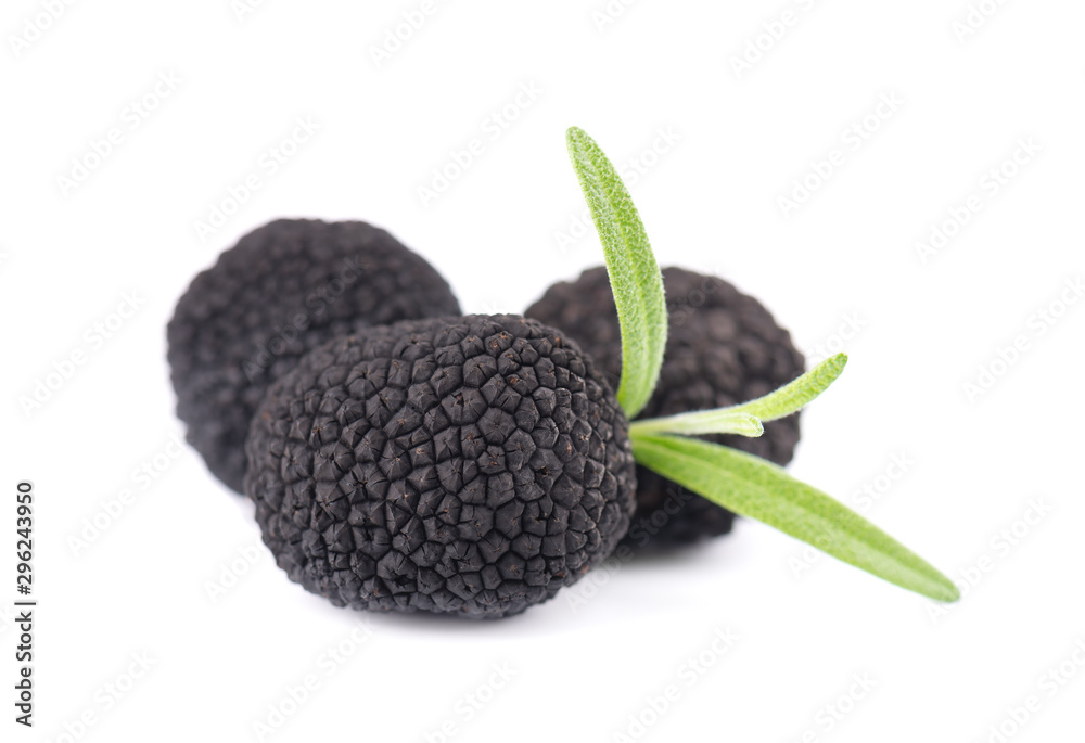 Black truffles isolated on a white background. Fresh truffle with rosemary branch. Delicacy exclusive truffle mushroom. Piquant and fragrant French delicacy. Clipping path. Black truffles isolated on a white background. Fresh truffle with rosemary branch. Delicacy exclusive truffle mushroom. Piquant and fragrant French delicacy. Clipping path.