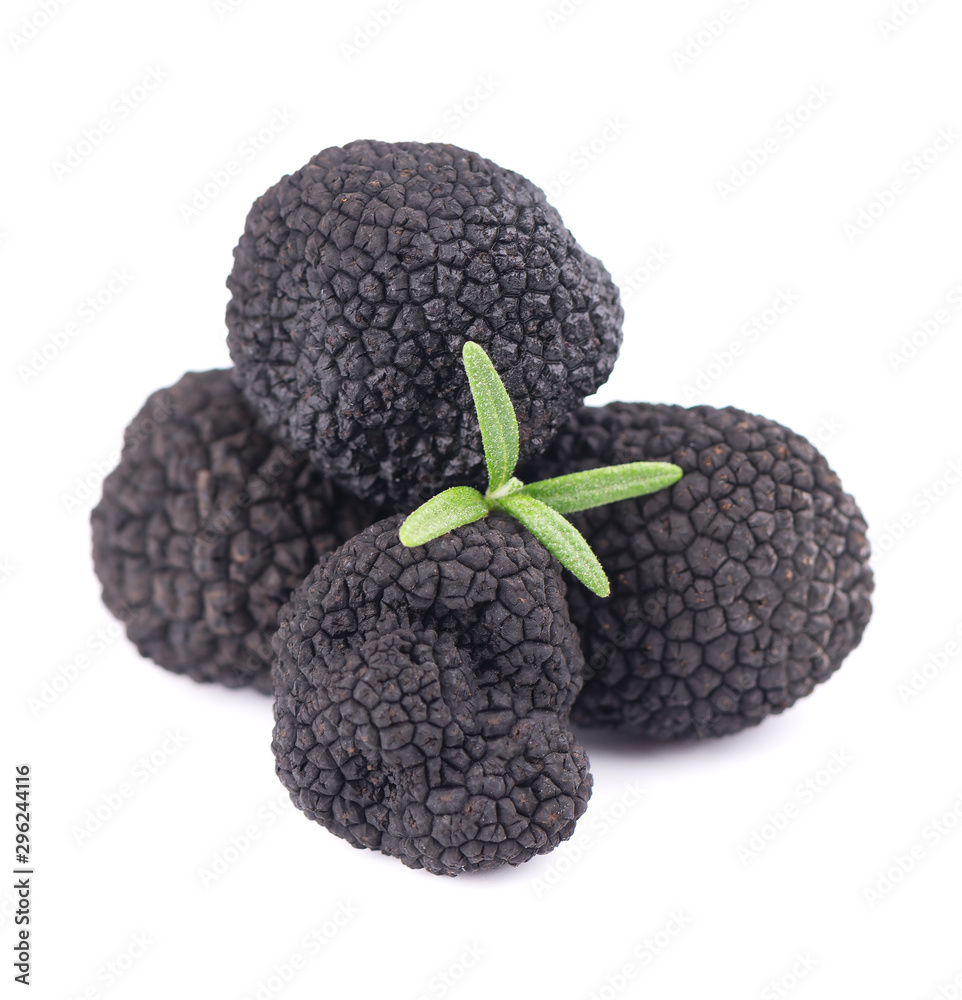 Black truffles isolated on a white background. Fresh truffle with rosemary branch. Delicacy exclusive truffle mushroom. Piquant and fragrant French delicacy. Clipping path. Black truffles isolated on a white background. Fresh truffle with rosemary branch. Delicacy exclusive truffle mushroom. Piquant and fragrant French delicacy. Clipping path.