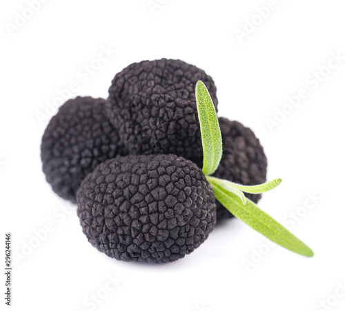 Black truffles isolated on a white background. Fresh truffle with rosemary branch. Delicacy exclusive truffle mushroom. Piquant and fragrant French delicacy. Clipping path.