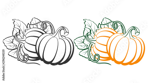 Pumpkins with leaves, silhouette on white background.