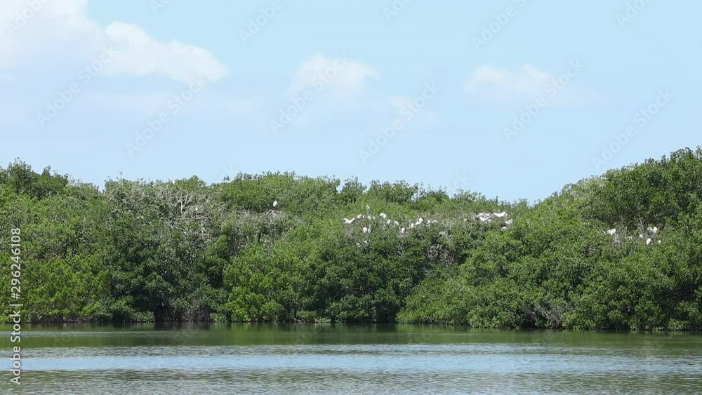 Birds of the Everglades National Park Birds of the Everglades National Park