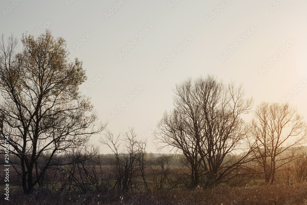 beautiful sunny autumn landscape beautiful sunny autumn landscape