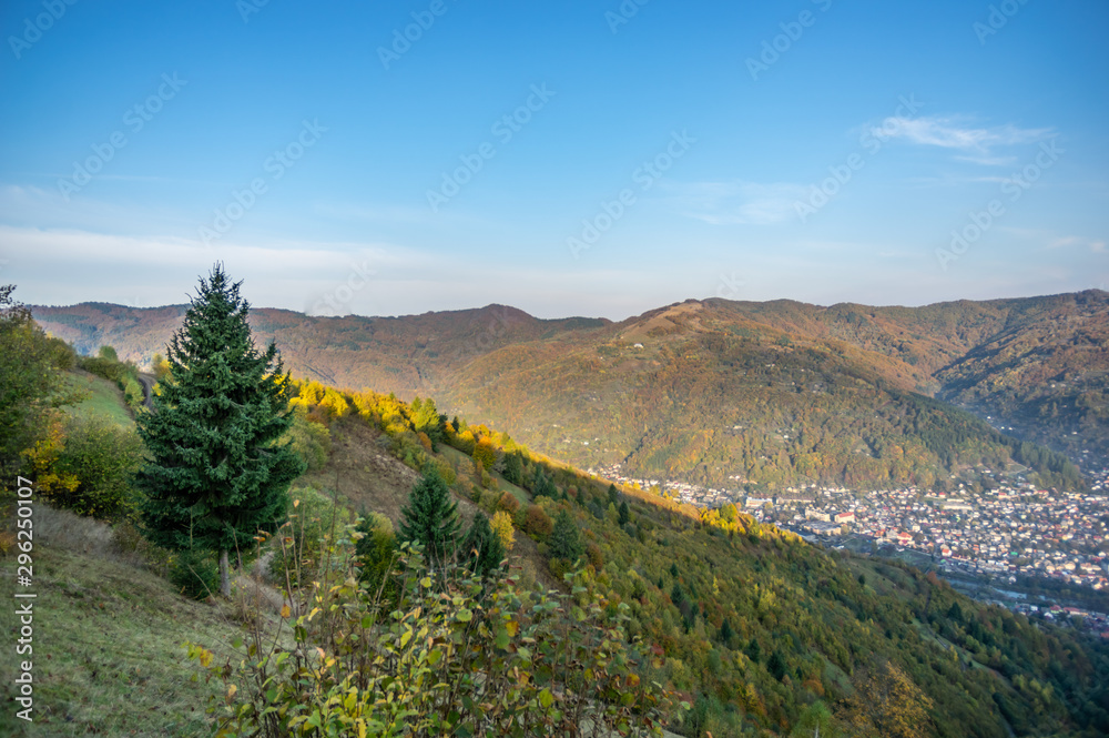 Yellow autumn forest in the mountains Yellow autumn forest in the mountains