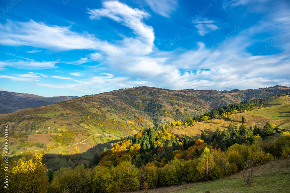 Obraz premium Yellow autumn forest in the mountains