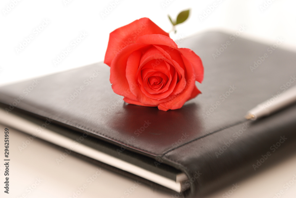 A red rose lies on top of a business portfolio, shot with a Lensbaby for extremely shallow depth of field, focus just on the center rose petals, possible indicating workplace romance or love of job A red rose lies on top of a business portfolio, shot with a Lensbaby for extremely shallow depth of field, focus just on the center rose petals, possible indicating workplace romance or love of job