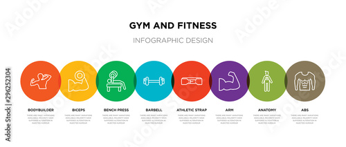 8 colorful gym and fitness outline icons set such as abs, anatomy, arm, athletic strap, barbell, bench press, biceps, bodybuilder