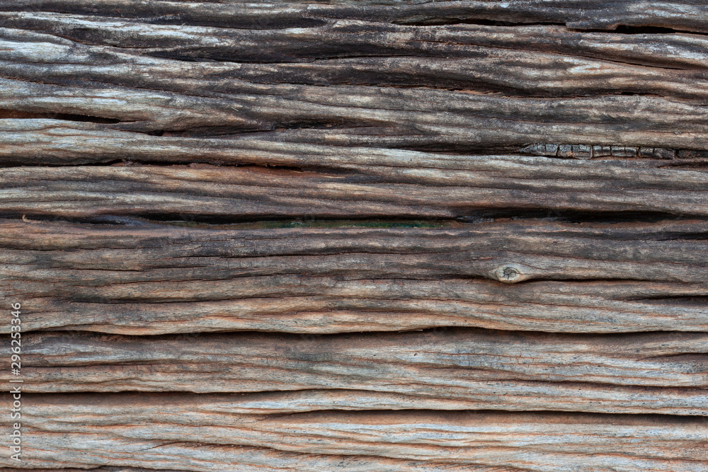 Texture of old big trunk tree for background. Texture of old big trunk tree for background.