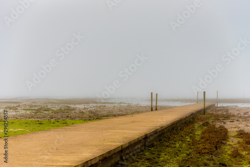 A pier jutting into the fog, above the green algae and the mud of the basin of Arcachon at low tide