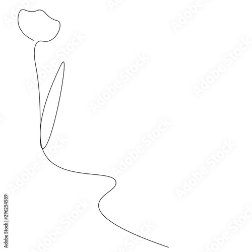 Tulip flower outline drawing, vector illustration