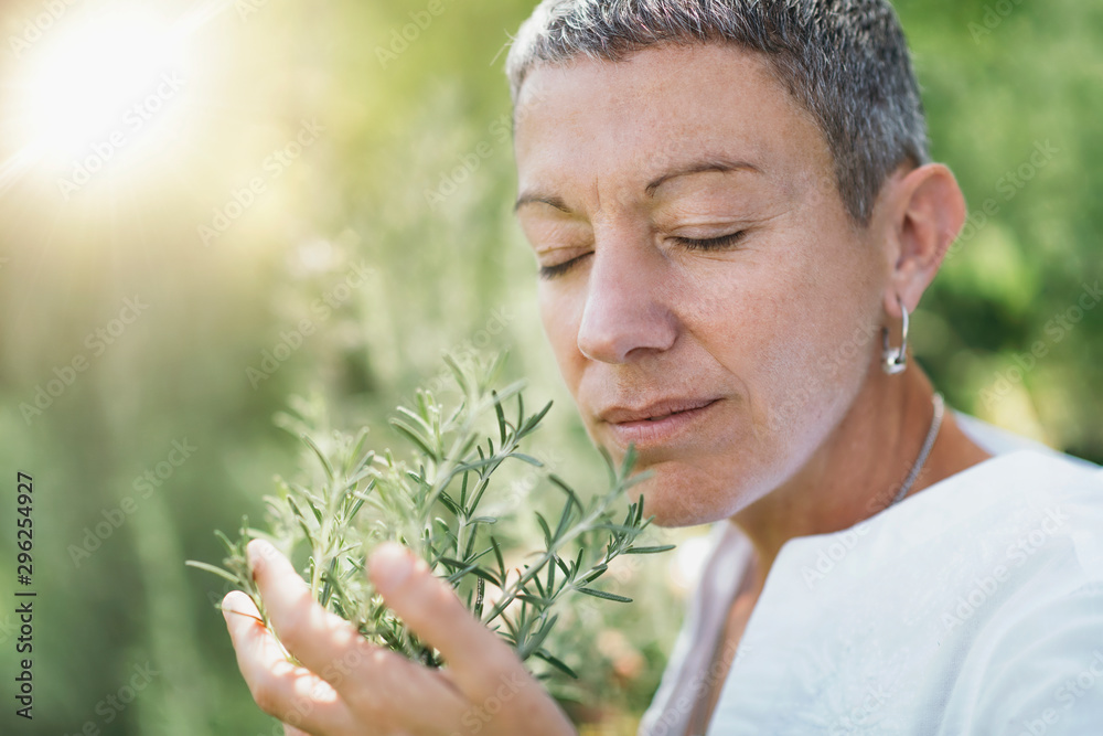 Wellbeing in Nature. Woman Enjoying the scent of Rosemary - obrazy, fototapety, plakaty 