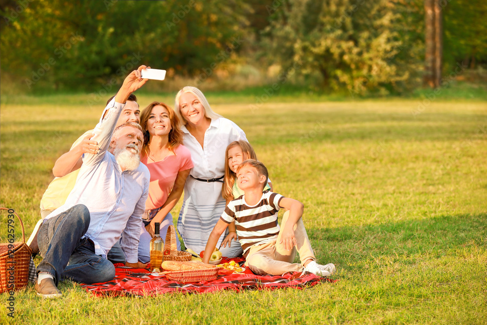 Fototapeta premium Big family taking selfie at picnic in park