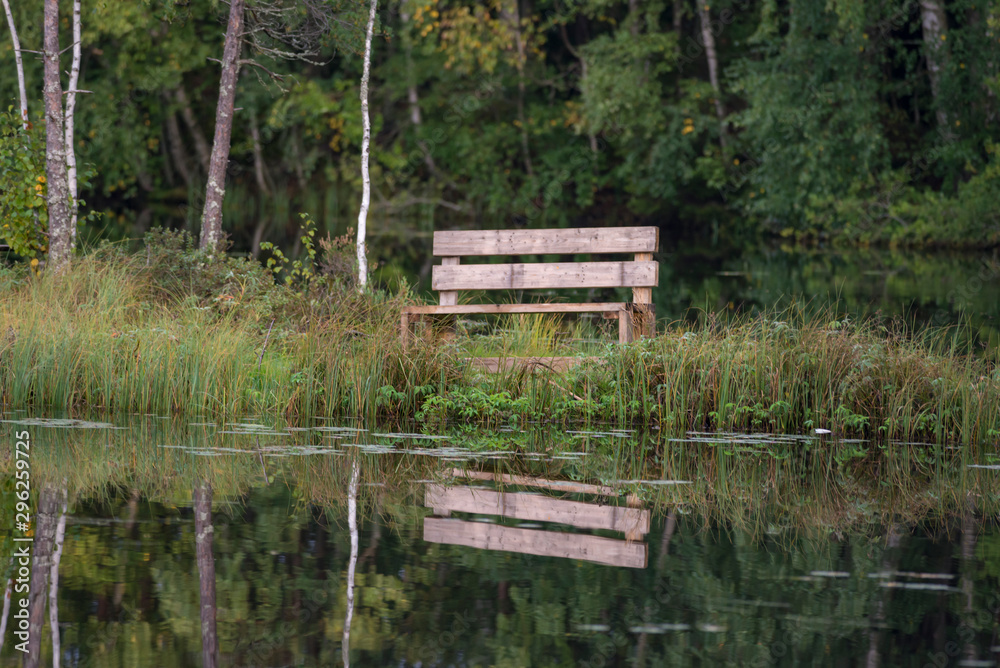 Wooden bench on the lake Wooden bench on the lake